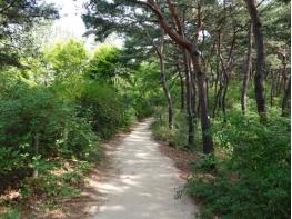 몸도 마음도 쉬어가는 서울의 공원 여름나기 명소 베스트 10 기사 이미지